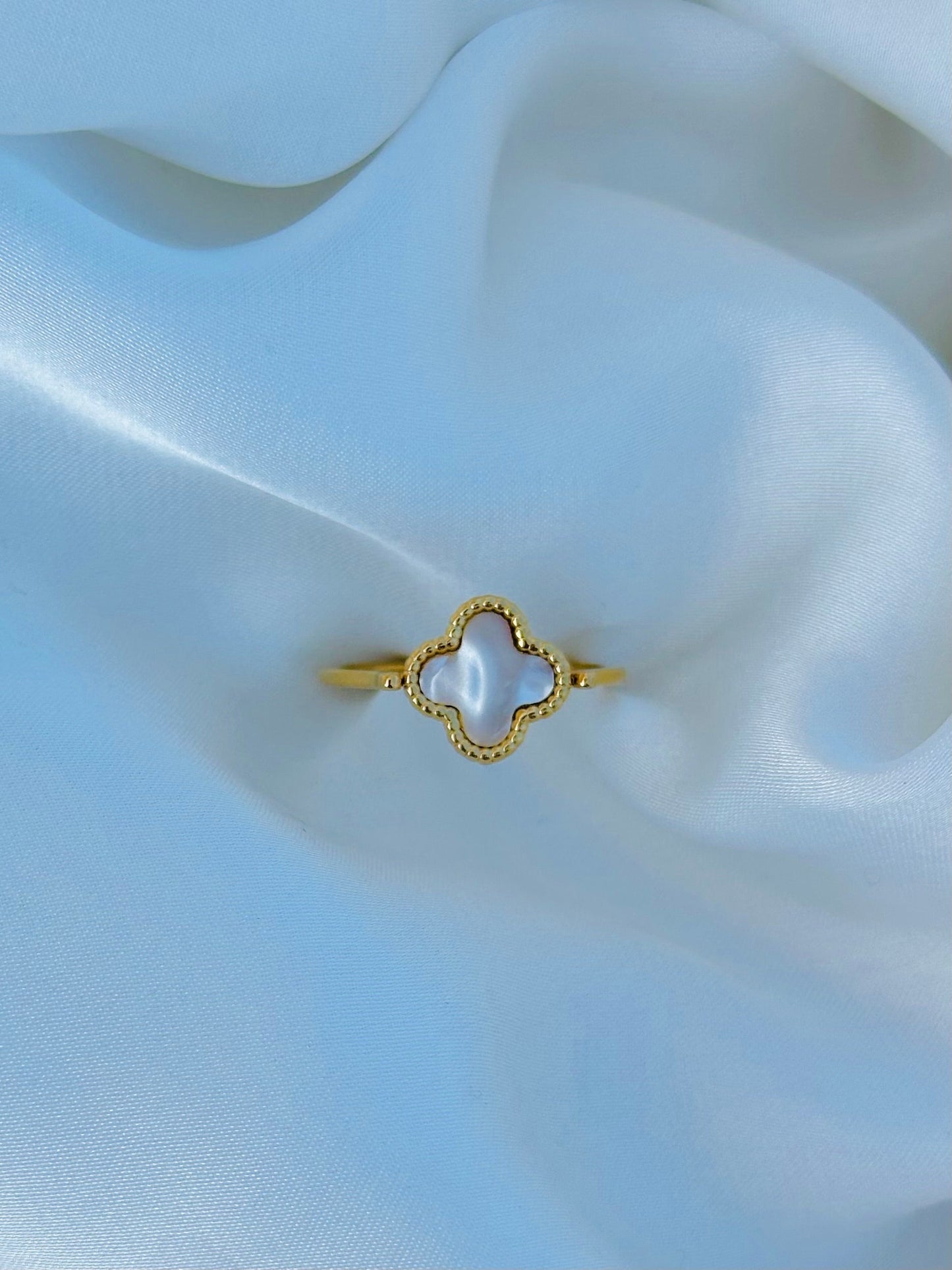 White clover set with box