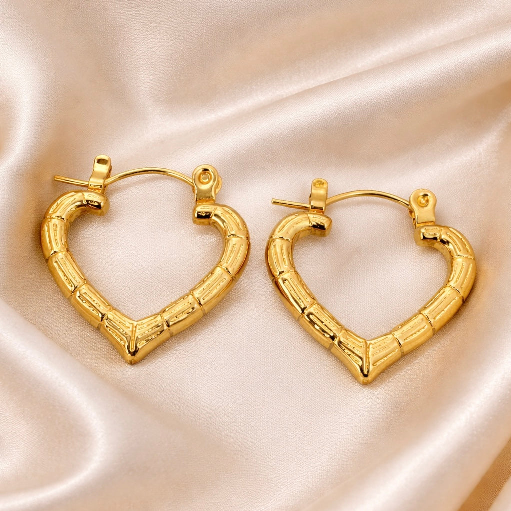 Gaurd earrings