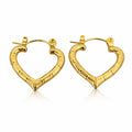 Gaurd earrings